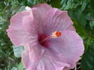 P1230990
