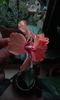 20150910_072350