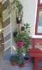 20150909_133541
