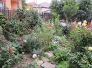 10 septembrie