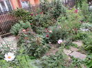 10 septembrie