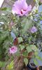 20150910_083246