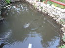 DSC00285