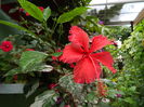 DSCN7494
