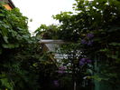 DSCN7531