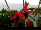 DSCN7543