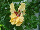 DSC03490