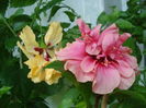 DSC03500
