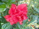 DSCN8526