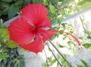 DSCN8527