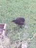 IMG_20150904_182758