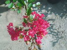 DSCN8558