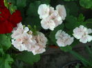 DSCN8562