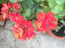 DSCN8563