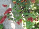 DSCN8576