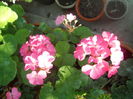 DSCN8578