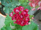 DSCN8579