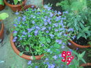 DSCN8581