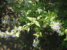 DSCN8586