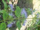 DSCN8589