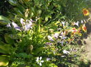 DSCN8590