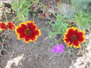 DSCN8592