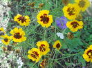 DSCN8593