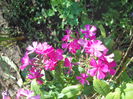 DSCN8597