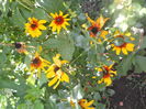 DSCN8621