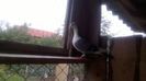 WP_20150911_17_06_53_Pro