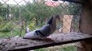 WP_20150911_17_28_12_Pro
