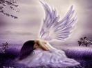 Crying-Angel-angels-20162613-1024-768