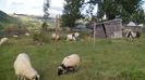 IMG-20150908-WA0023