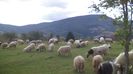 IMG-20150908-WA0026