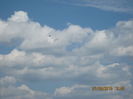 Picture 3966