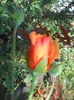 DSCN8612