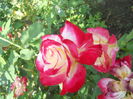 DSCN8628