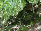 DSCN5104