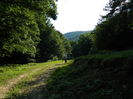 DSCN5116