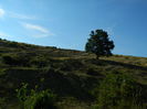 DSCN5121