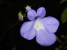 DSCN7576