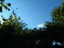 DSCN7598