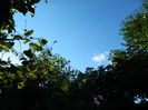 DSCN7599