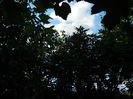 DSCN7607