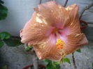 P1240020