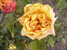 P1250031