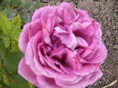 P1250034