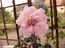 P1250041