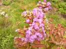 P1250046