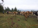 DSC00196